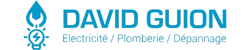 David Guion_logo